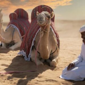 Dubai Desert Safari Without Dune Bashing