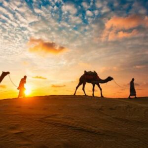 VIP Desert Safari Dubai